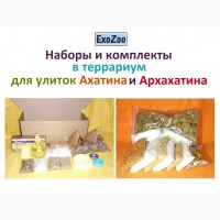 Наборы/комплекты для террариума с подкормками для улиток Ахатина и Архахатина