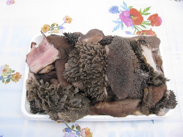 Мясо, субпродукты и рубец для животных в Иркутске