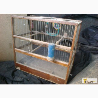 Клетка для попугаев в Нижнем Новгороде