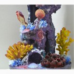 Коралловый риф Marvelous-agva