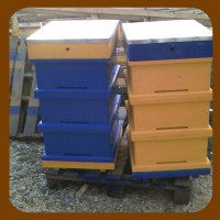 Ульи готовые к пчелиному новоселью