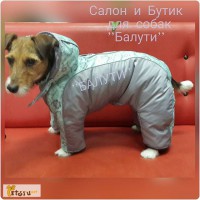 Недорогая одежда для собак в Москве