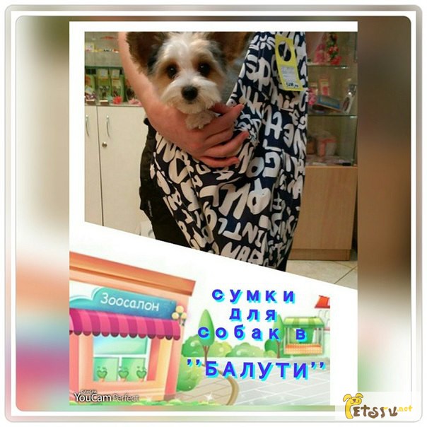 Фото 3. Недорогая одежда для собак в Москве