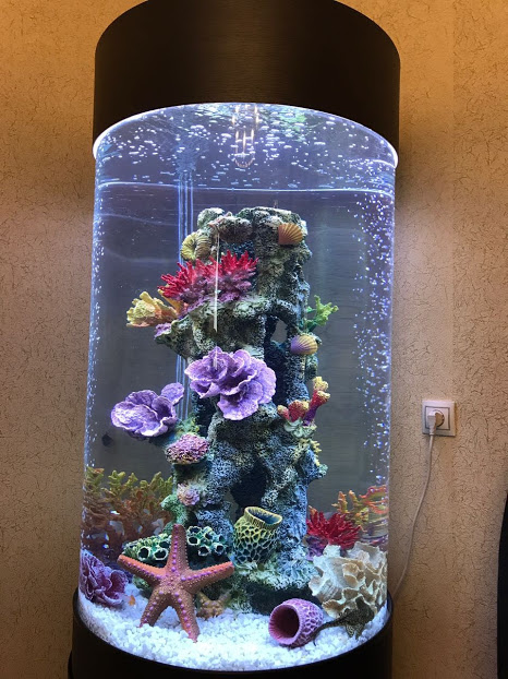 Фото 2. Продам шикарный цилиндрический аквариум