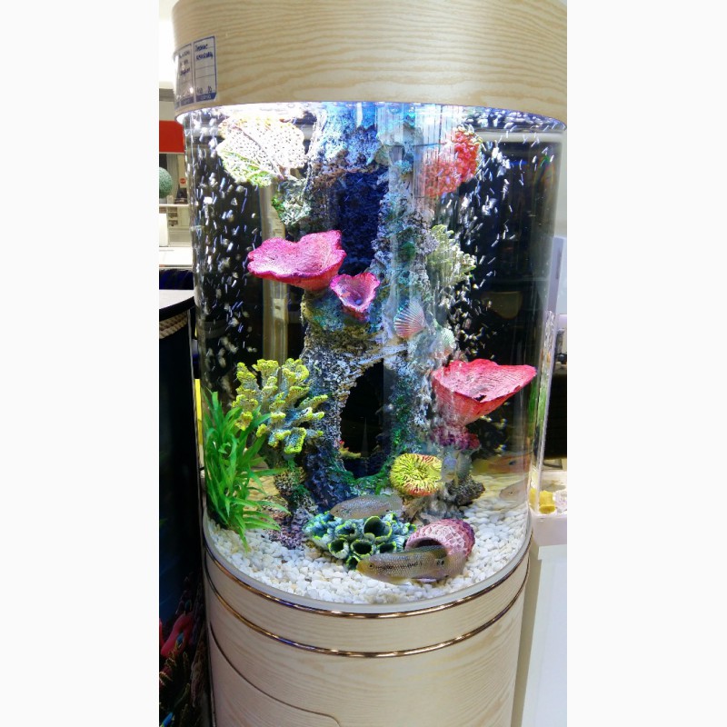 Фото 3. Продам шикарный цилиндрический аквариум