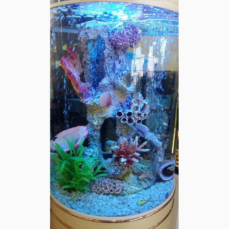 Фото 4. Продам шикарный цилиндрический аквариум