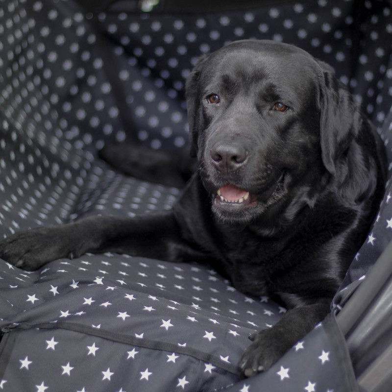 Фото 2. Автогамак для перевозки собак в машине - Белые звёзды на чёрном