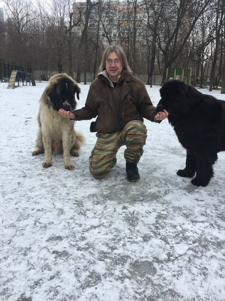 Фото 2. Кинолог: профессиональная дрессировка собак в Москве