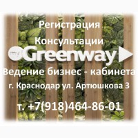 Greenway – распространение новейших экологичных продуктов