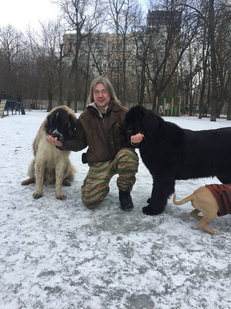 Фото 4. Профессиональная дрессировка собак в Москве