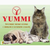 Корм yummi (юмми) для кошек