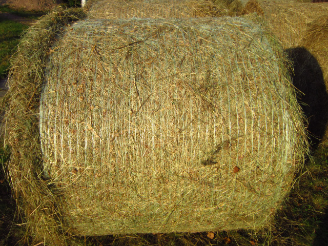 Фото 2. Сено для кроликов, сено для скота, сено на подстилки для собак