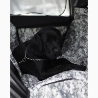 Автогамак для перевозки собак в машине - Серый камуфляж