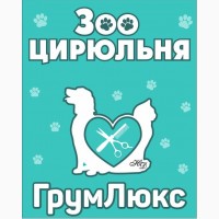 Стрижка собак на дому в Москве