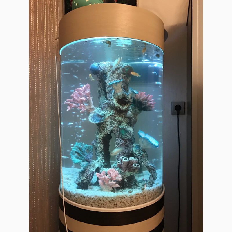 Продам потрясающий цилиндрический аквариум 93л