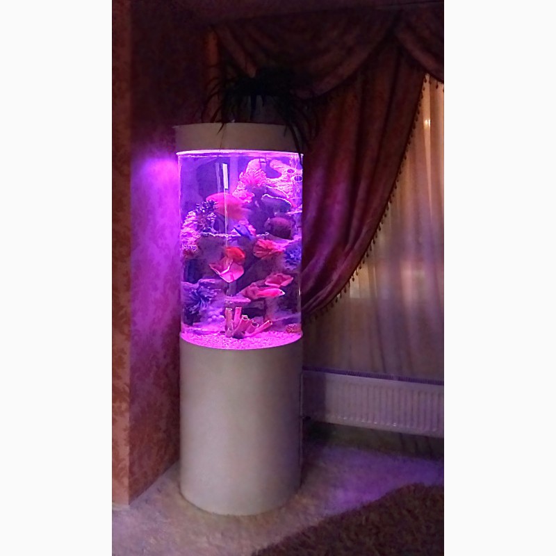 Фото 3. Продам потрясающий цилиндрический аквариум 93л