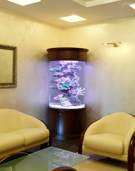 Фото 3. Шикарный аквариум Marvelous с большим цилиндром