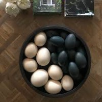 Доступны здоровые цыплята / яйца страусов и эму