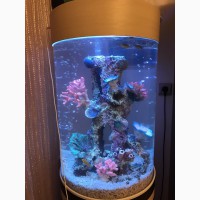 Оригинальный аквариум marvelous aqva на 150 л
