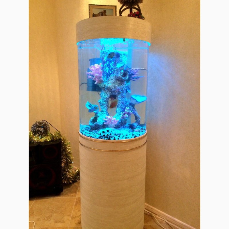 Фото 5. Оригинальный аквариум marvelous aqva на 150 л