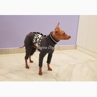 Одежда для голых собак ( Ксоло, Перуанских голых и КХС )