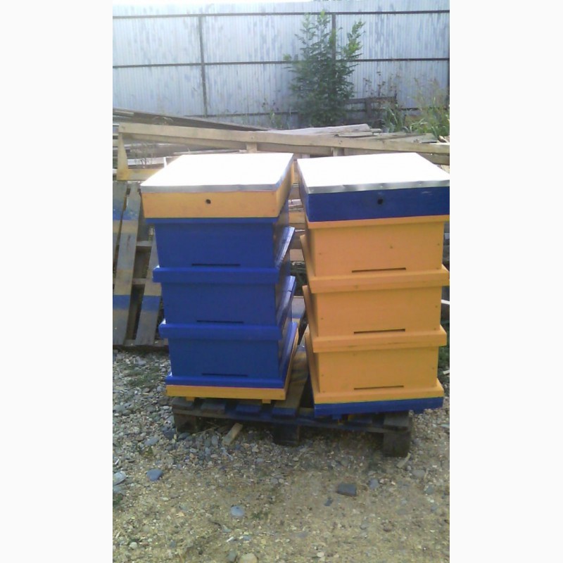 Фото 19. Улей для пчел на рамку Рута - Лангстрота с высотою корпусов на 240 мм