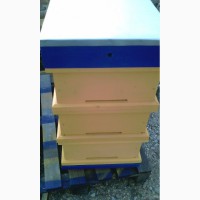 Улей для пчел на рамку Рута - Лангстрота с высотою корпусов на 240 мм