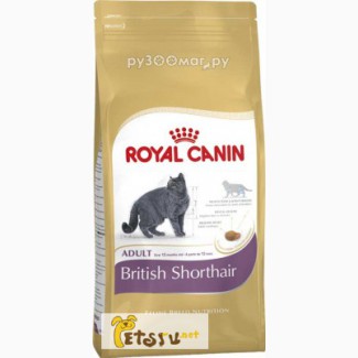 Royal Canin British Shorthair 34 2 кг