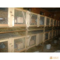 Клетки для кроликов и домашних животных