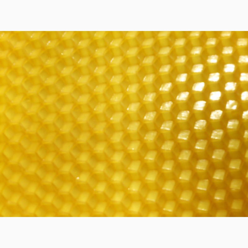 Фото 11. Вощина для пчел Максимум/Полумаксимум из 100 процентного пчелиного воска