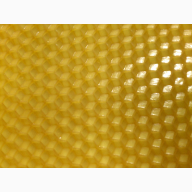 Фото 4. Вощина для пчел Максимум/Полумаксимум из 100 процентного пчелиного воска