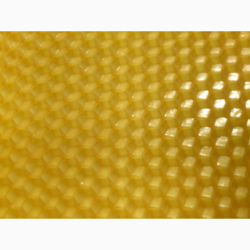 Фото 8. Вощина для пчел Максимум/Полумаксимум из 100 процентного пчелиного воска