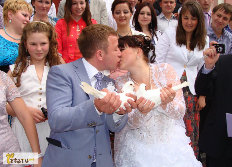 Голубей на свадьбу в Нижнем Новгороде