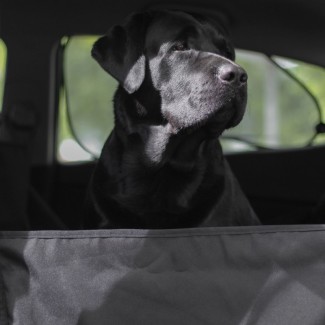 Автогамак для перевозки собак в машине - Чёрный